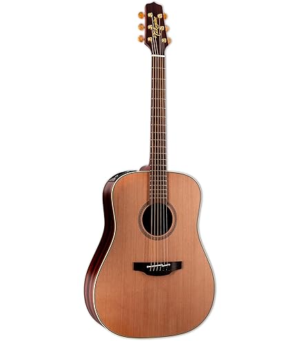 Amazon.com: Takamine 6 String Acoustic-Electric Guitar, Right
