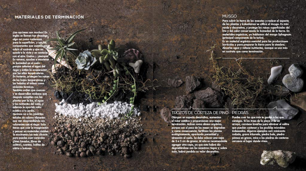 Compañía botánica: La guía definitiva de la jardinería urbana ...