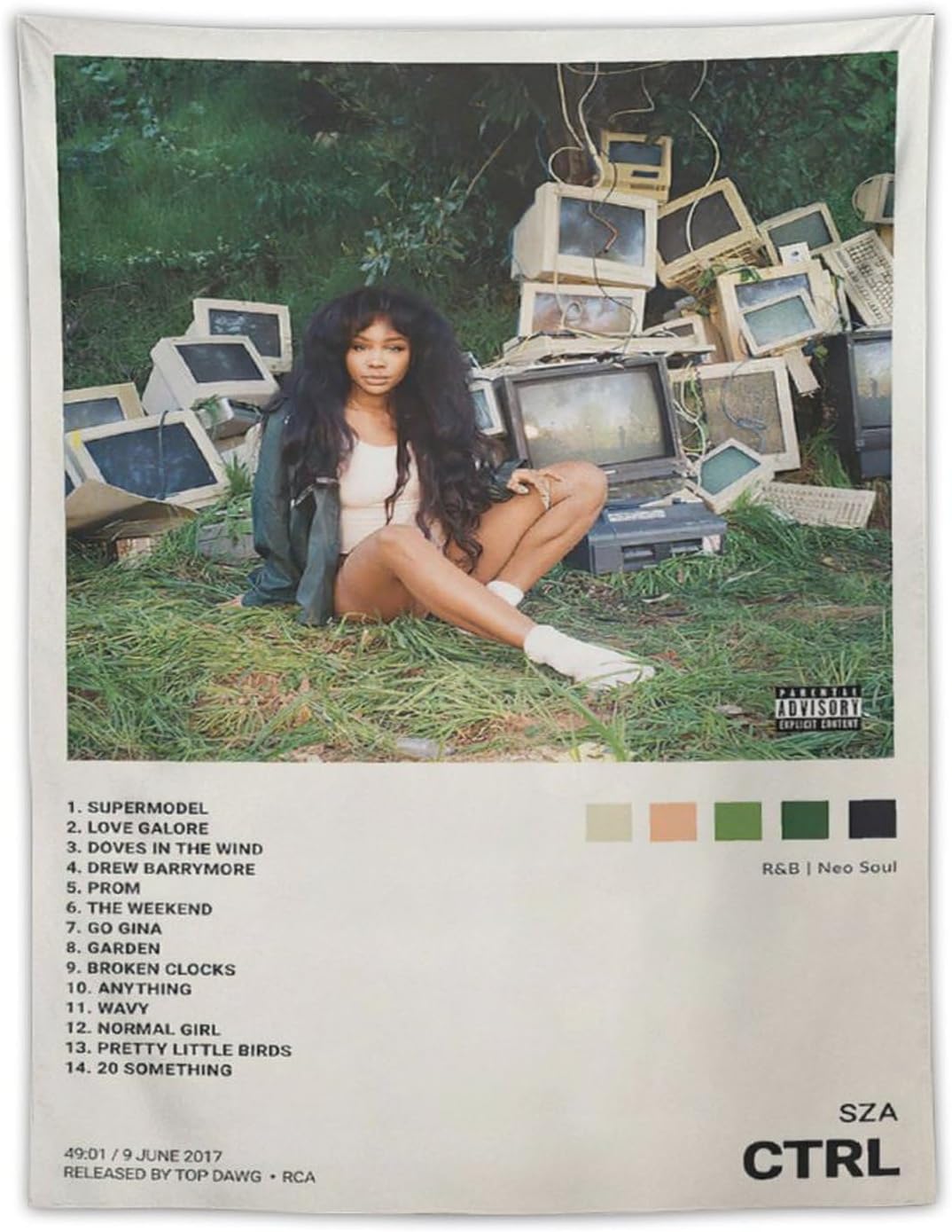 Tapestries - SZ-A - CTRL Album Cover Tapestry Polyester Wall Art Tapestry Decorative Bedroom Modern Home Wall Hanging Tapestry Wall Decoration 30 X40 Inches