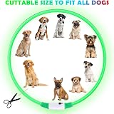 AUAUY LED Light Up Dog Collar Green USB Rechargeable Water Resistant Reflective view 2