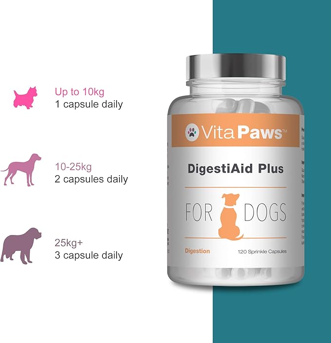 bacillus coagulans dogs