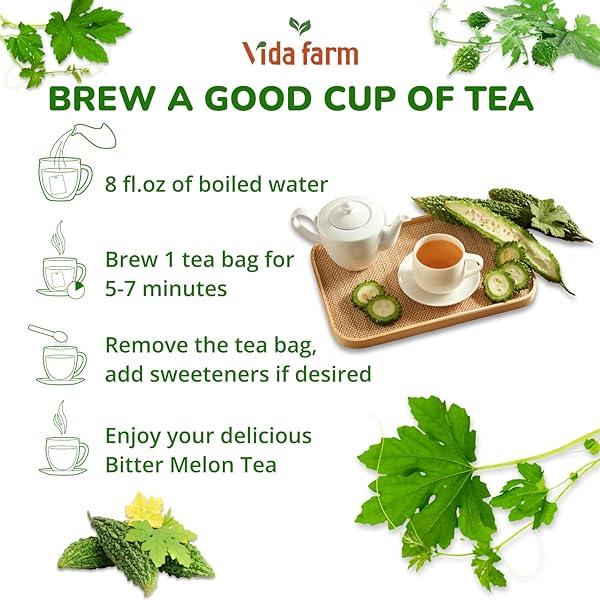 VIDA FARM 75 PREMIUM BITTER MELON TEA BAGS, ZERO SUGAR TEA, HANDPICKED, 100% PURE AND NATURAL DRIED BITTER MELON, NON-GMO, NO CAFFEINE, GLUTEN-FREE, VEGAN