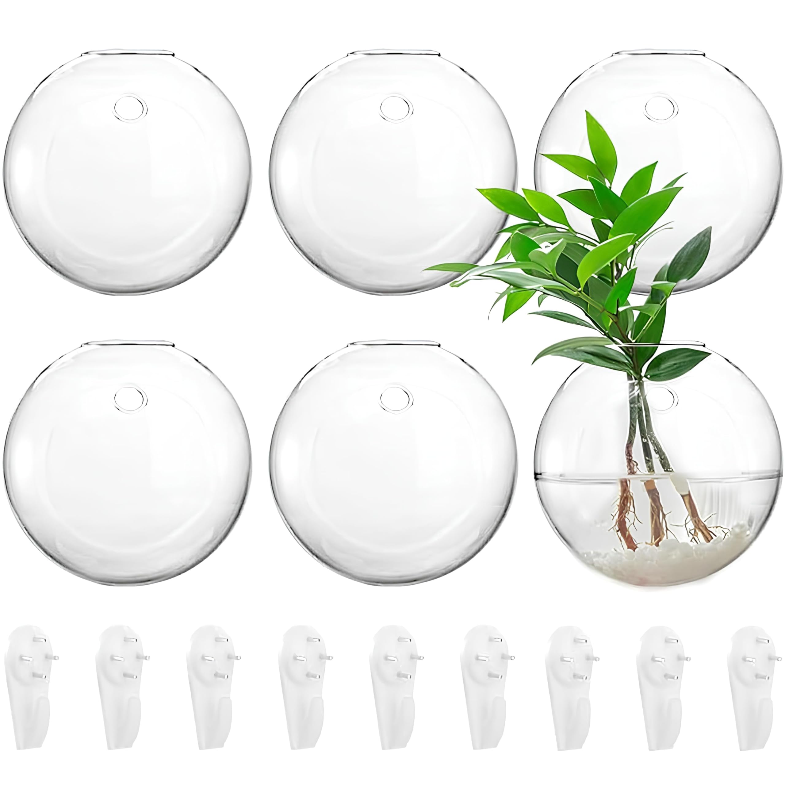 Photo 1 of Yarlung 6 Pack Wall Hanging Planters Terrarium, 4.7 Inch Glass Oblate Globe Plants Containers, Wall Mount Clear Flower Vase for Propagating Hydroponics Plants, Air Plants (Plants Not Included)
