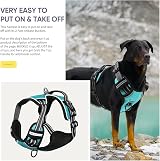 HEELE Dog Harness Padded Handle Reflective 2 Rings Turquoise XL view 7