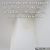 Pro-Kleen Damp & Stain Block White Matt 400ml - Waterproof Barrier view 2