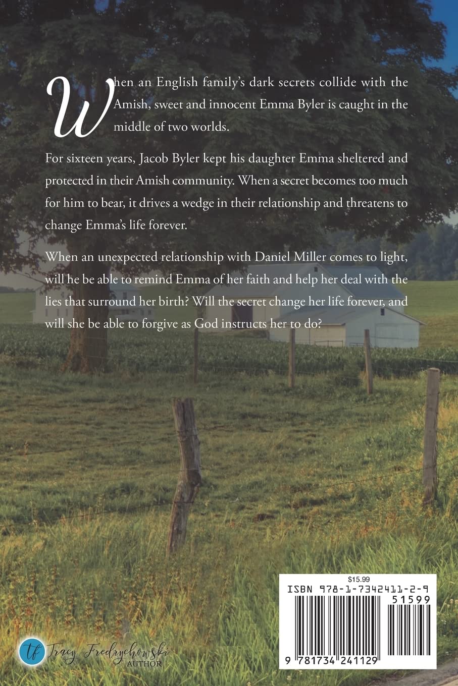 Secrets of Willow Springs - Book 1 (The Amish of Lawrence County) Secrets of Willow Springs - Book 1 (The Amish of Lawrence County) Paperback Kindle Audible Audiobook