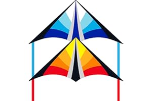Lanrui Delta Kite for Kids & Adults,Beginner Kites for Kids Ages 4-8,Easy to Fly Kite Beach Kite