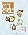 The Cell Cycle: An Introduction