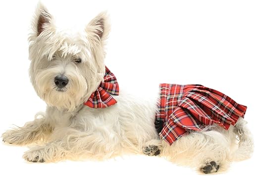 kilts for small dogs