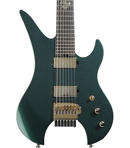 Amazon.com: Schecter Synyster Gates Custom-S - Black with