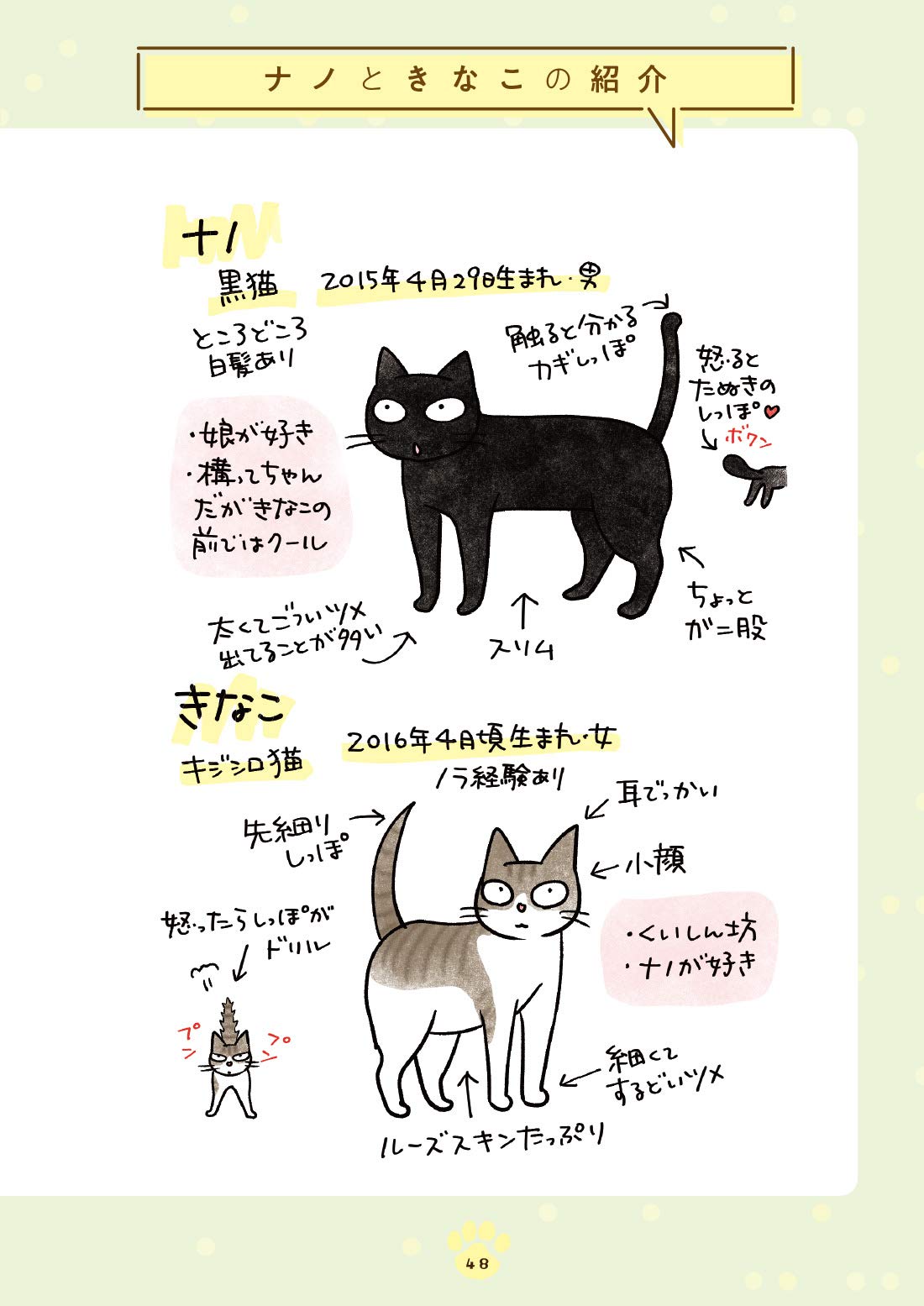 黒猫ナノとキジシロ猫きなこ  ぱるぱーる 本  通販  Amazon