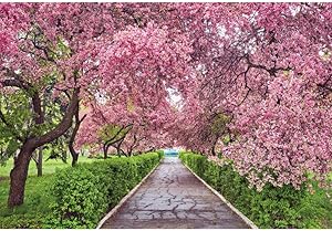 OERJU 10x7ft Cherry Blossom Backdrop Spring Garden Path Grass Valentine's Day Nature Scenic Outdoor Wedding Photography Background Birthday Party Decor Banner Photo Studio Booth Prop
