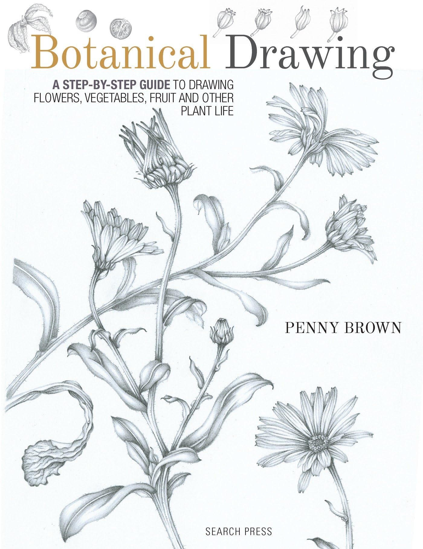 Botanical Drawing: A step-by-Step guide to drawing flowers, vegetables, fruit and other plant life