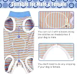 FEimaX Dog Recovery Suit After Surgery XS Blue 95% Cotton Lycra view 3