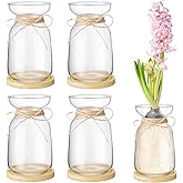 FoldTier 4 Sets Hyacinth Glass Vase with Bamboo Coaster Rope Hyacinth Avocado Growing Bud Vase Decorative Glass Flower Vases for Centerpieces Bulb Forcing Plant Containers Home Office Table Decoration