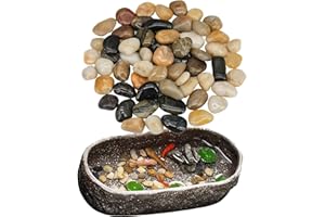 EYZH 1.1LBS River Rocks for Plants Succulent Indoor Outdoor Polished Pepple Stone for Patio Garden Yard Landscaping Fish Tank Rock for Aquariam Decoration