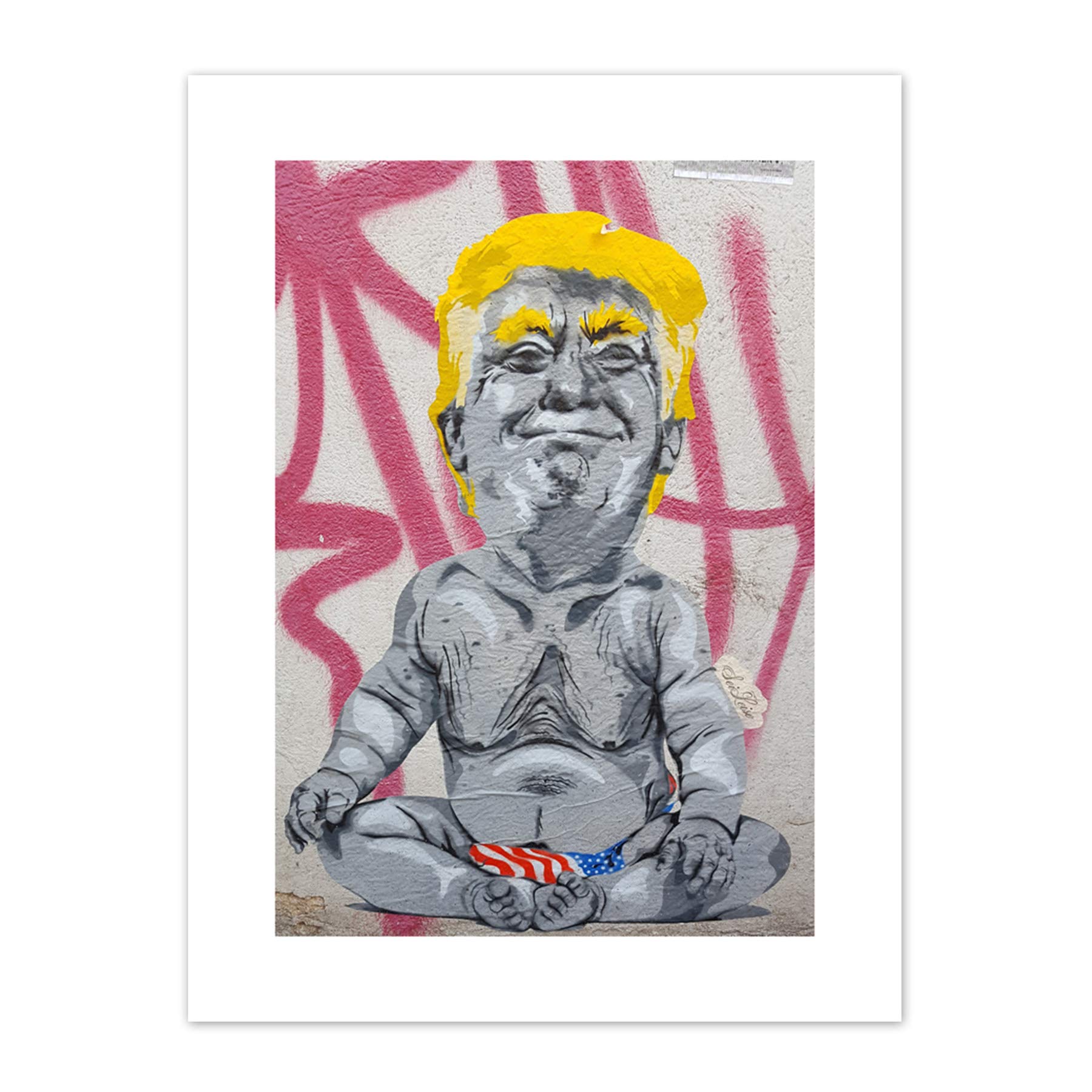 Wee Blue Coo Baby Trump Graffiti Art Print Canvas Premium Wall Decor Poster