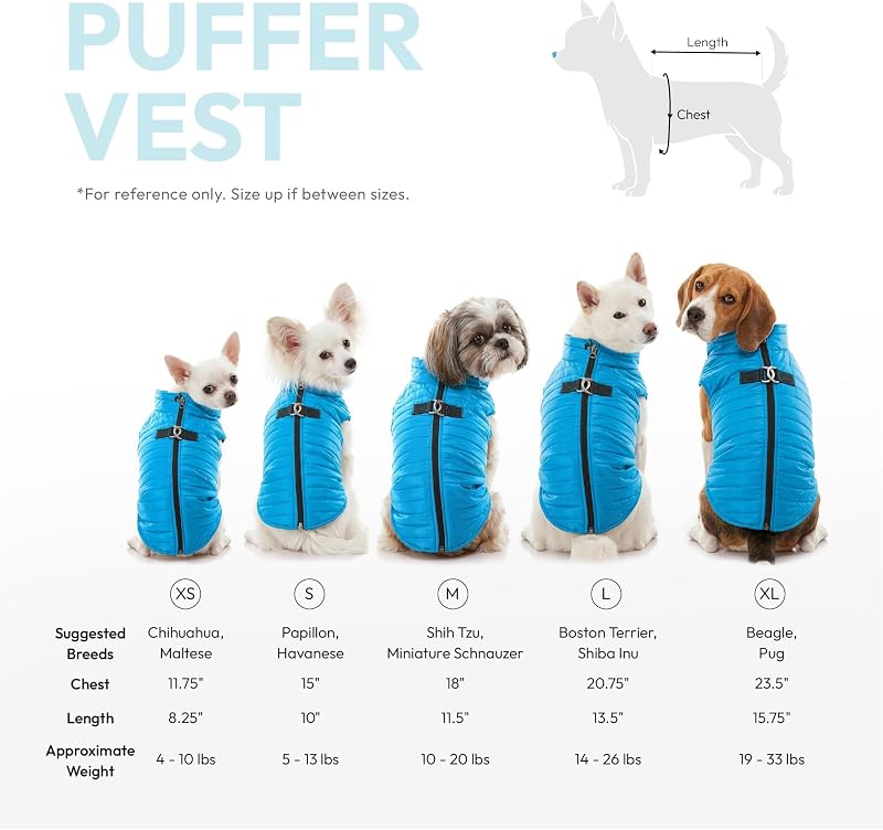 Puffer Weste Hundejacke – Türkis, Groß – Ultra Dünn Reißverschluss Windbreaker mit Dual D Ring Leine – Wasserabweisend Kleiner Hund Pullover Mantel – Hundekleidung für Kleine Hunde Junge oder