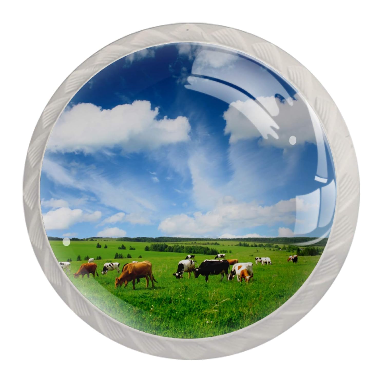 Schrankknöpfe und zieht Präriepferd Schrankknöpfe Bunte