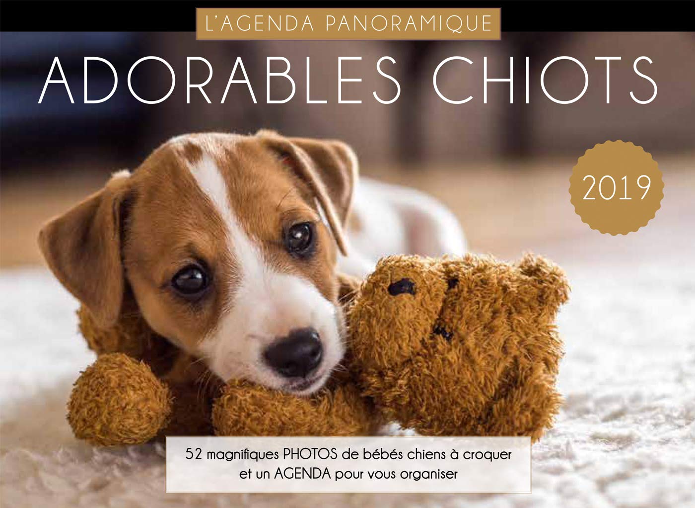 Agenda Panoramic Cute Puppies 2019