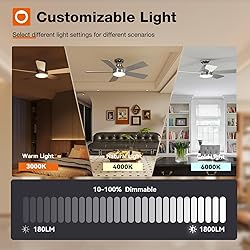 addlon Ceiling Fans with Lights, 42 Inch Low