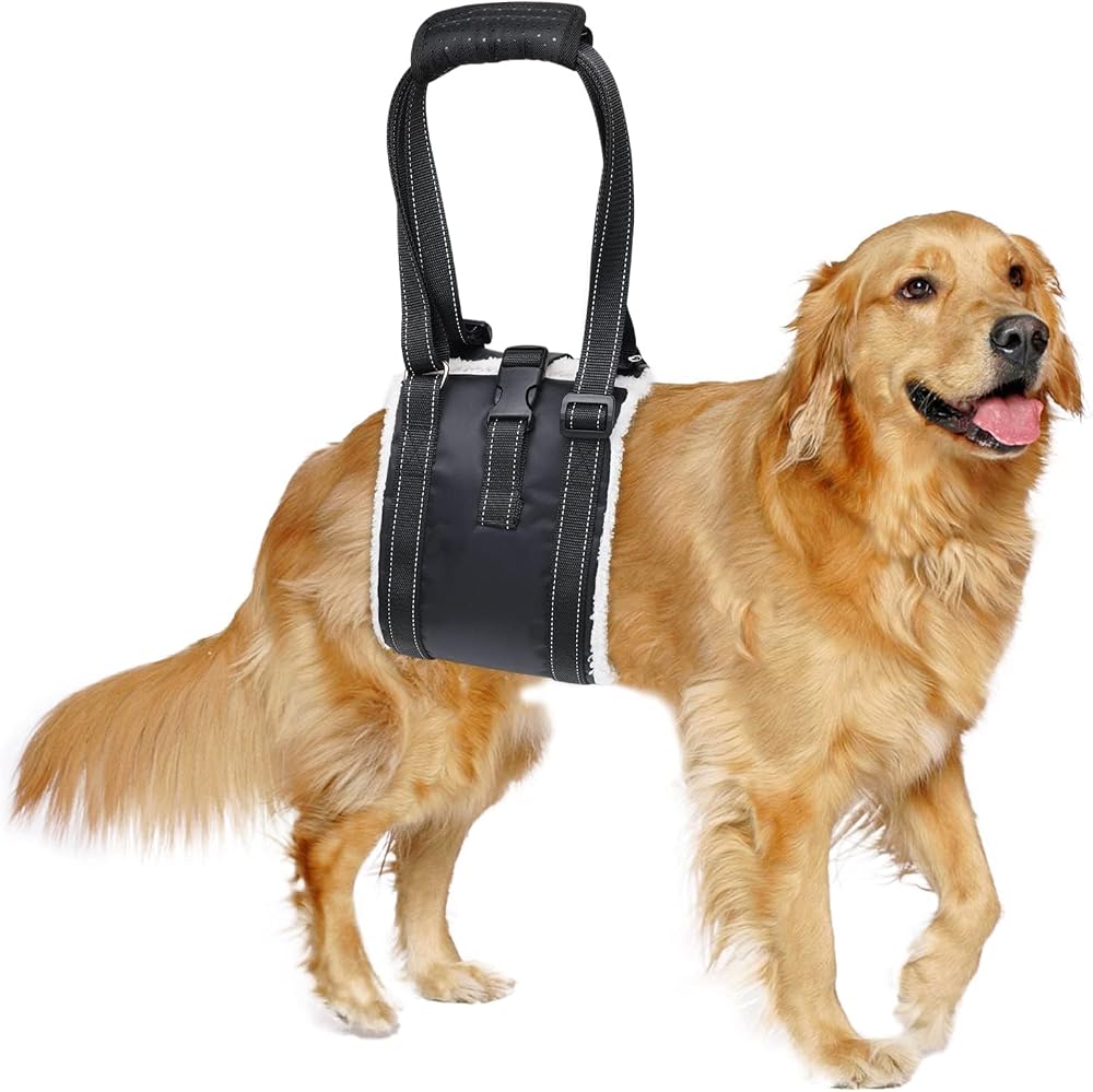 BRO Adjustable Dog Lifting Harness with Anti-slip Buckle Large (L)