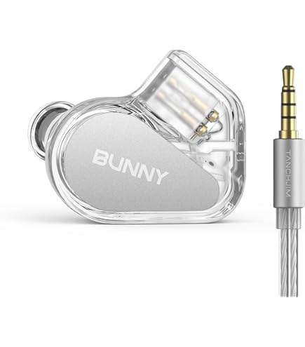 Amazon.com: TANCHJIM ORIGIN Lost Manor 1DD Flagship IEM, DMT5