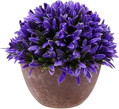 Amazon De Generic Kunstliche Gluck Gras Pflanze Blatter Vergiessen Bonsai Im Topf Blumen Garten Hause