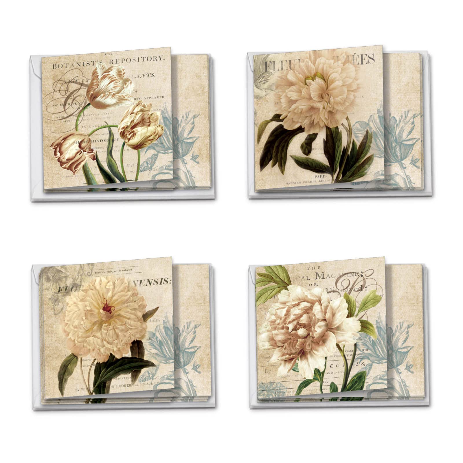 Painted Peonies - 12 Vintage Thank You Cards with Envelopes (4 x 5.12 Inch) - Pretty Floral Appreciation, Gratitude Note Cards - Assorted Flower Notecard Set (3 Each, 4 Designs) MQ4605TYG-B3x4