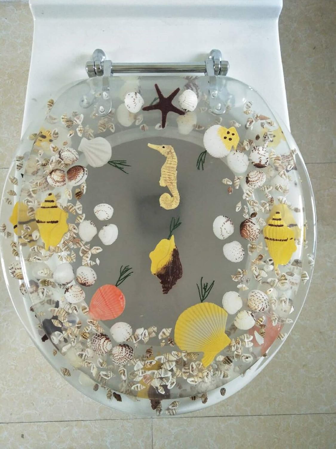 Best soft sea shell toilet seat
