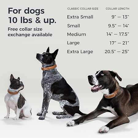 sprint tracker dog collar