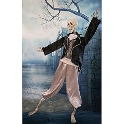 Haunted Hill Farm Life-Size Scary Talking Skeleton