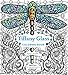 Tiffany Glass Coloring Book by