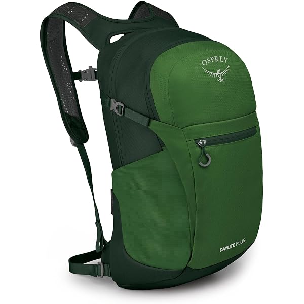 Amazon.com : Osprey Daylite Commuter Backpack, Green Belt/Green