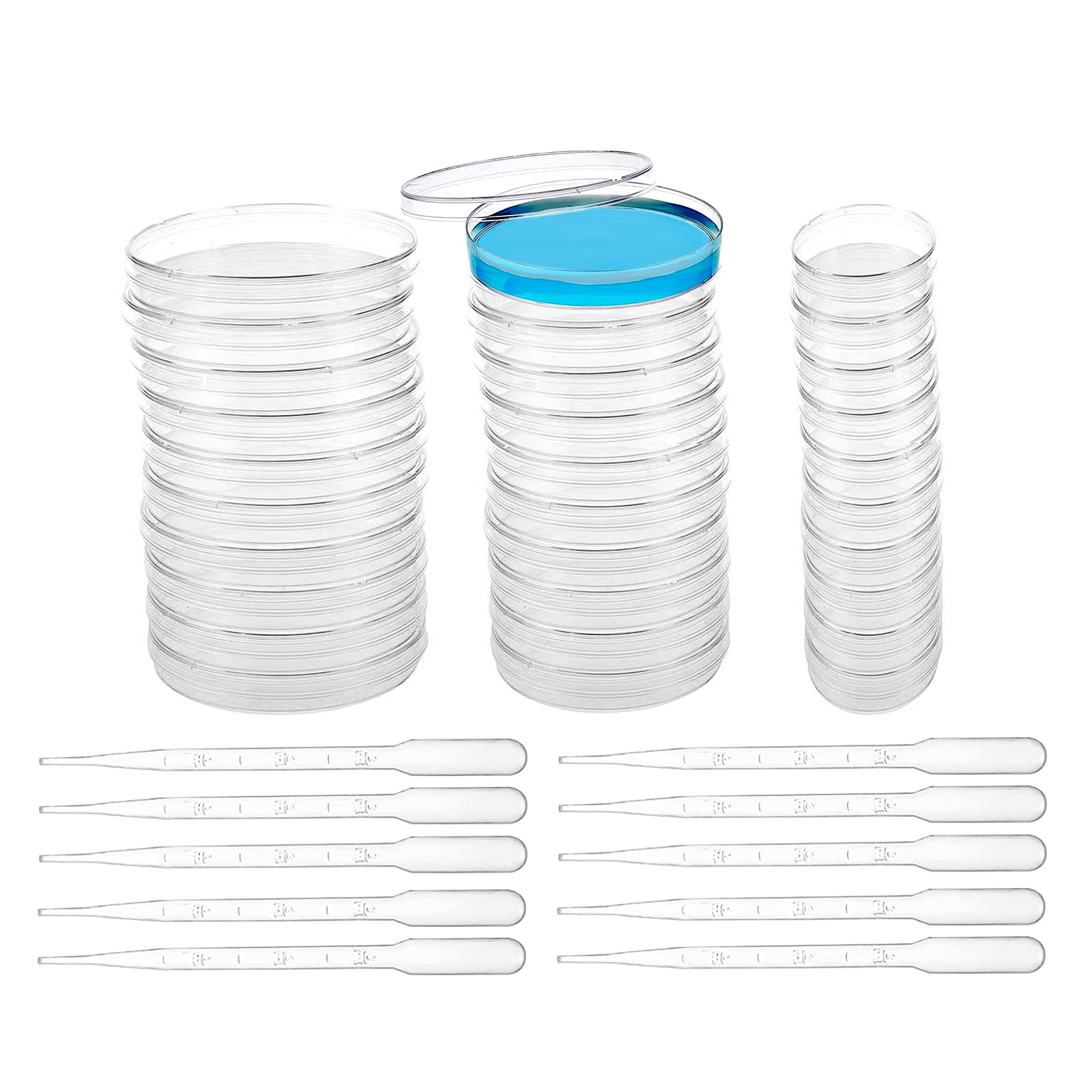 SyiXute 65+55+34 mm Petri Dish Set with Lids,30 Pcs Sterile Plastic Petri Dishes Comes with 10 Pcs 3ml Plastic Transfer Pipettes for Kids School Laboratory Science Fair Projects