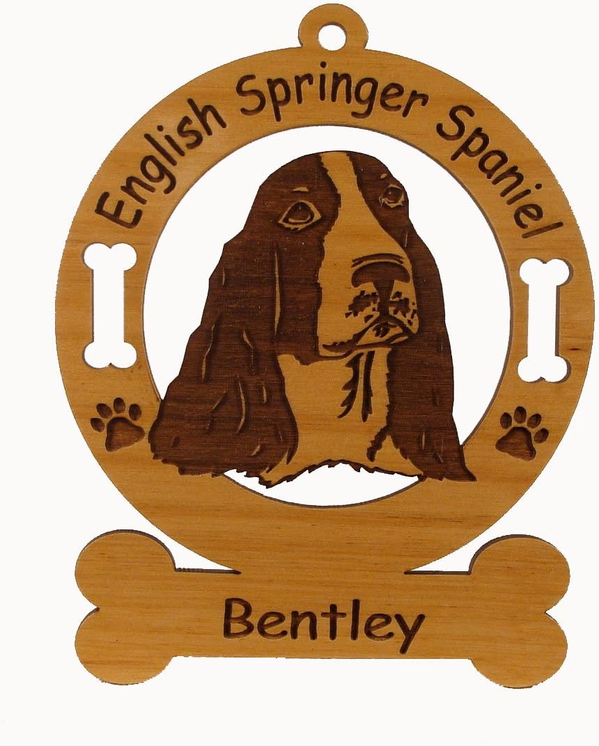 gulf coast english springer spaniels