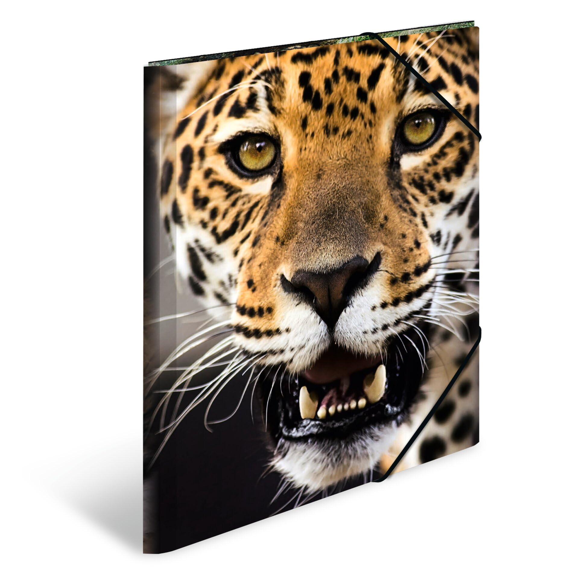 HERMA Elastic Folder Animals with Leopard Motif, A3, Sturdy Plastic, with Inner Print, 1 Span Folder