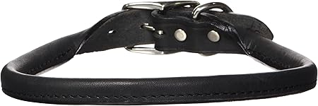 amazon rolled leather dog collar
