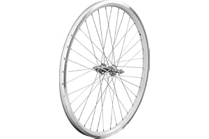 AkiiGer Adults Bicycle Wheels Rim for 3 Wheels Bike, Tricycle Front Wheels 24", Not Suitable for Bicycles, Tire Rims Replacement, Double Wall Alloy Rim, 36x13G Silver Spoke, Aluminum Alloy