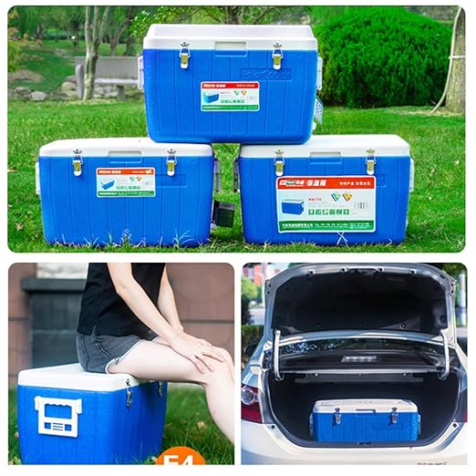 ZLL Nevera-Refrigerador para autos Caja de 65L Congelador sin ...