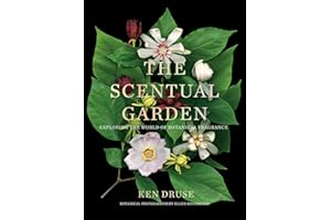 The Scentual Garden: Exploring the World of Botanical Fragrance