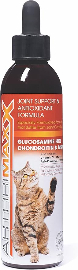 newfoundland dog mixed with lab