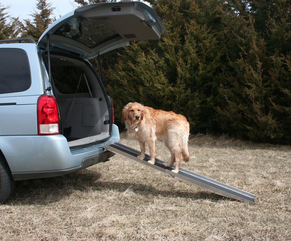 dog loading ramp