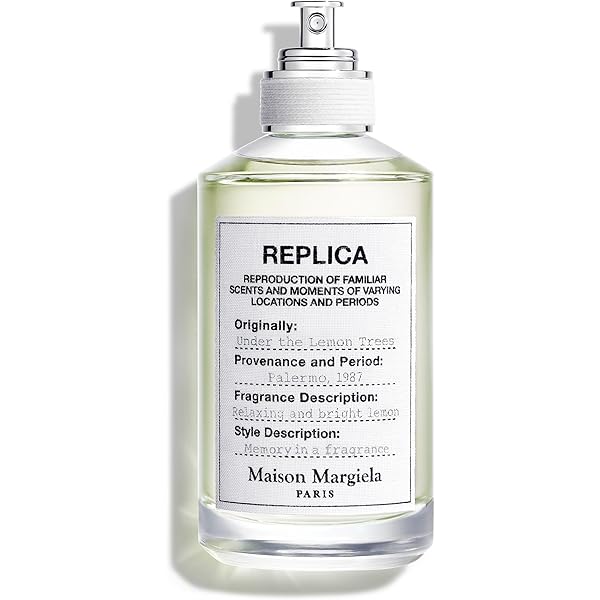 Replica When the Rain Stops by Maison Margiela 3.4 oz EDT