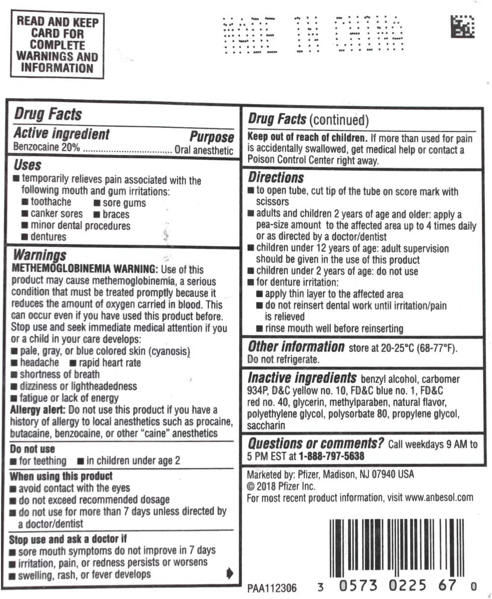 Anbesol Maximum Strength Oral Anesthetic Gel (0.33 Ounce Tube) (305730225670): Health & Personal Care