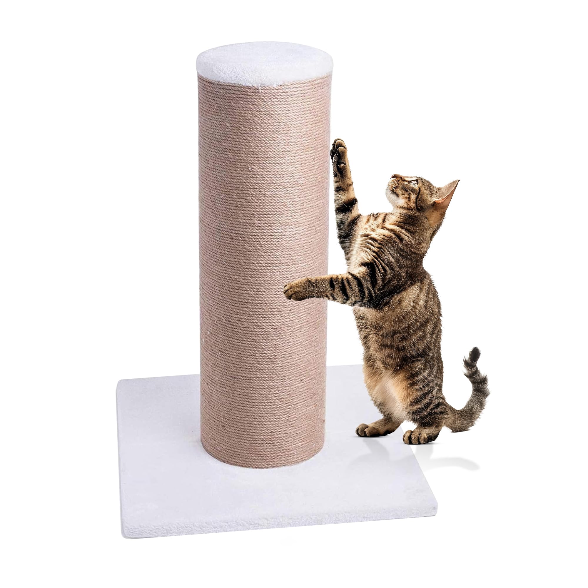 CA&T Ultimate Fat Boy Cat Scratching Mega Post | Scratching Post For Large Cats | Large Cat Scratching Post Available in (Beige)