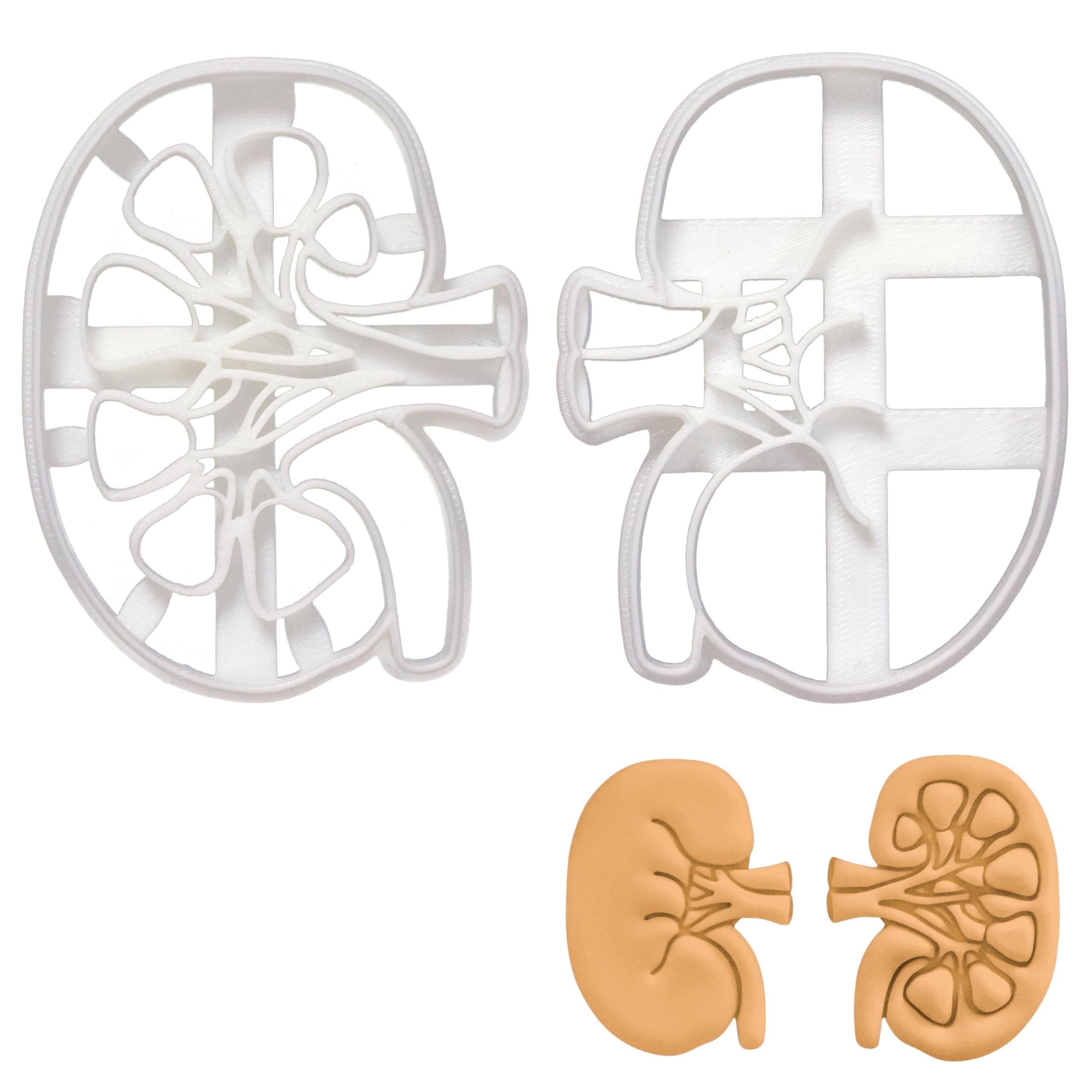 BAKERLOGY Set of 2 Kidney Cookie Cutters (Designs: External and Internal Kidney) - Detailed Biscuit Cutter Design for Baking and Crafts, Ideal on Fondant, Dough, Clay