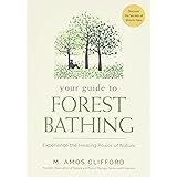 Your Guide to Forest Bathing: Experience the Healing Power of Nature