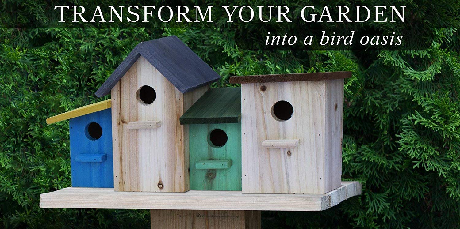 23 Bees 3 Hole Bird House For Outside Indoors Hanging Kits For