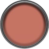 Dulux Simply Refresh Blood Orange Matt Emulsion Paint 1.25L view 2